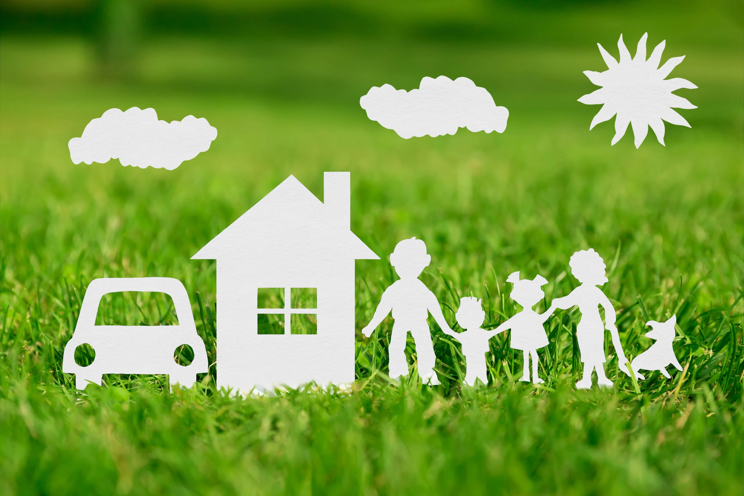 Le Plan Écologique Immobilier : Investir dans un Avenir Durable